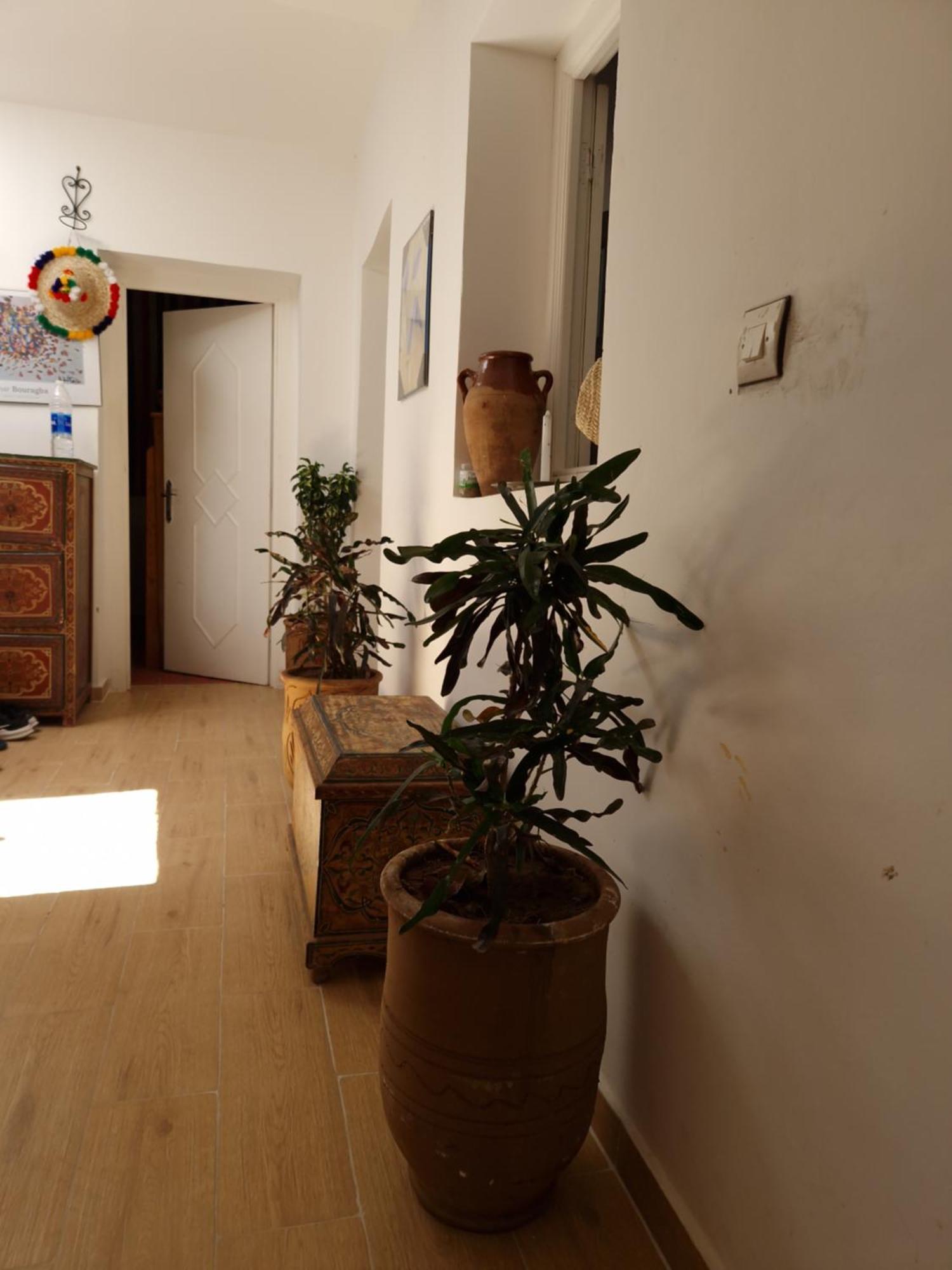 Hostel Banana Tanger Exterior foto